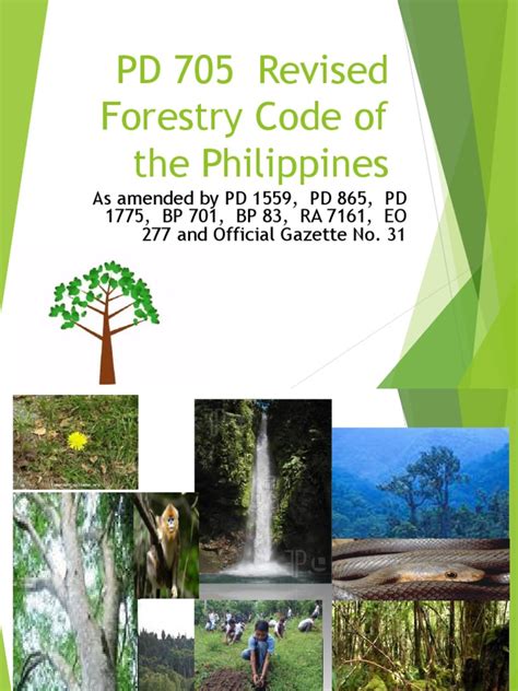 PD 705 (REVISED FORESTRY CODE) PD 705 .